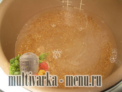 каша гречневая в мультиварке рецепты для мультиварки