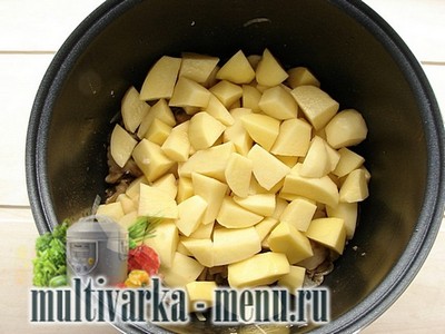 Картошка с грибами в мультиварке приготовление картошки с грибами в мультиварке