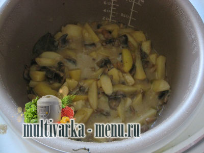 картошка с грибами в мультиварке картошка с грибами в мультиварке рецепт