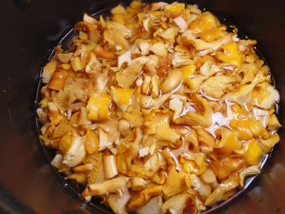 грибы с картошкой грибы в мультиварке