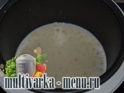 молочная каша в мультиварке овсяная каша в мультиварке