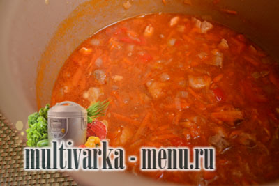 подлива в мультиварке