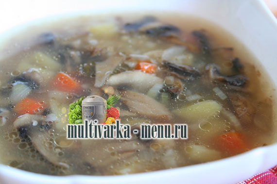 суп с грибами в мультиварке суп в мультиварке с фото