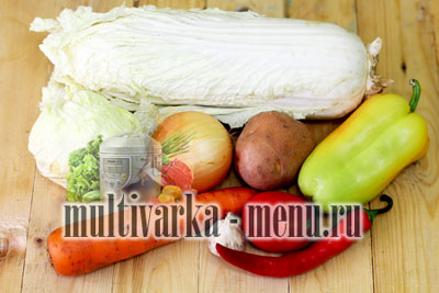 борщ в мультиварке мулинекс как приготовить борщ в мультиварке