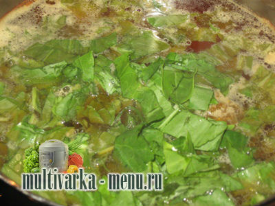 борщ в мультиварке с фото борщ в мультиварке рецепт