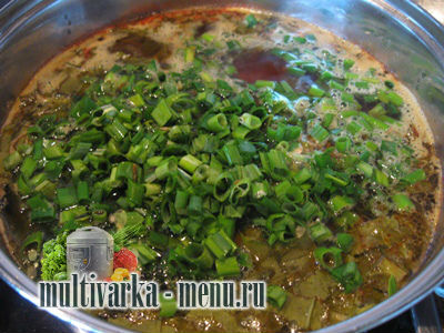 борщ в мультиварке с фото борщ в мультиварке рецепт